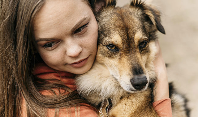 Is Your Pet Missing?