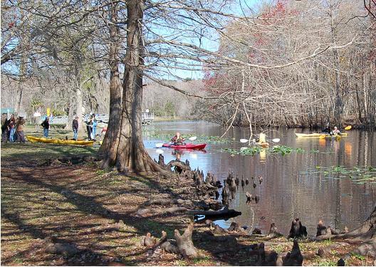 Kayaks on the Ocklawaha